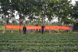 广州市天河区农业和园林局开展第二轮节前食用农产品安全检查工作